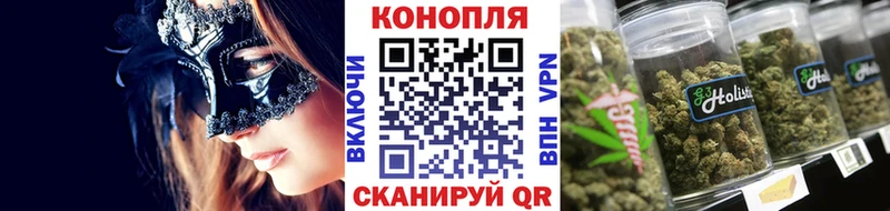 Канабис сатива  Дзержинск 